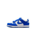 Nike Dunk Low (PS) - FB9108-131