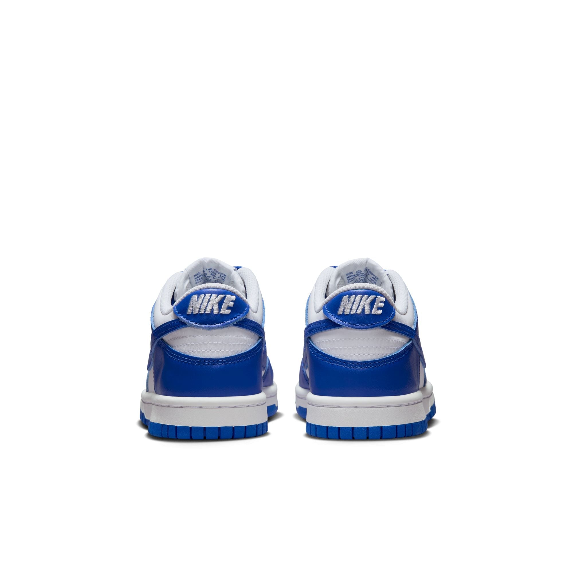 Nike Dunk Low (GS) - FB9109-131