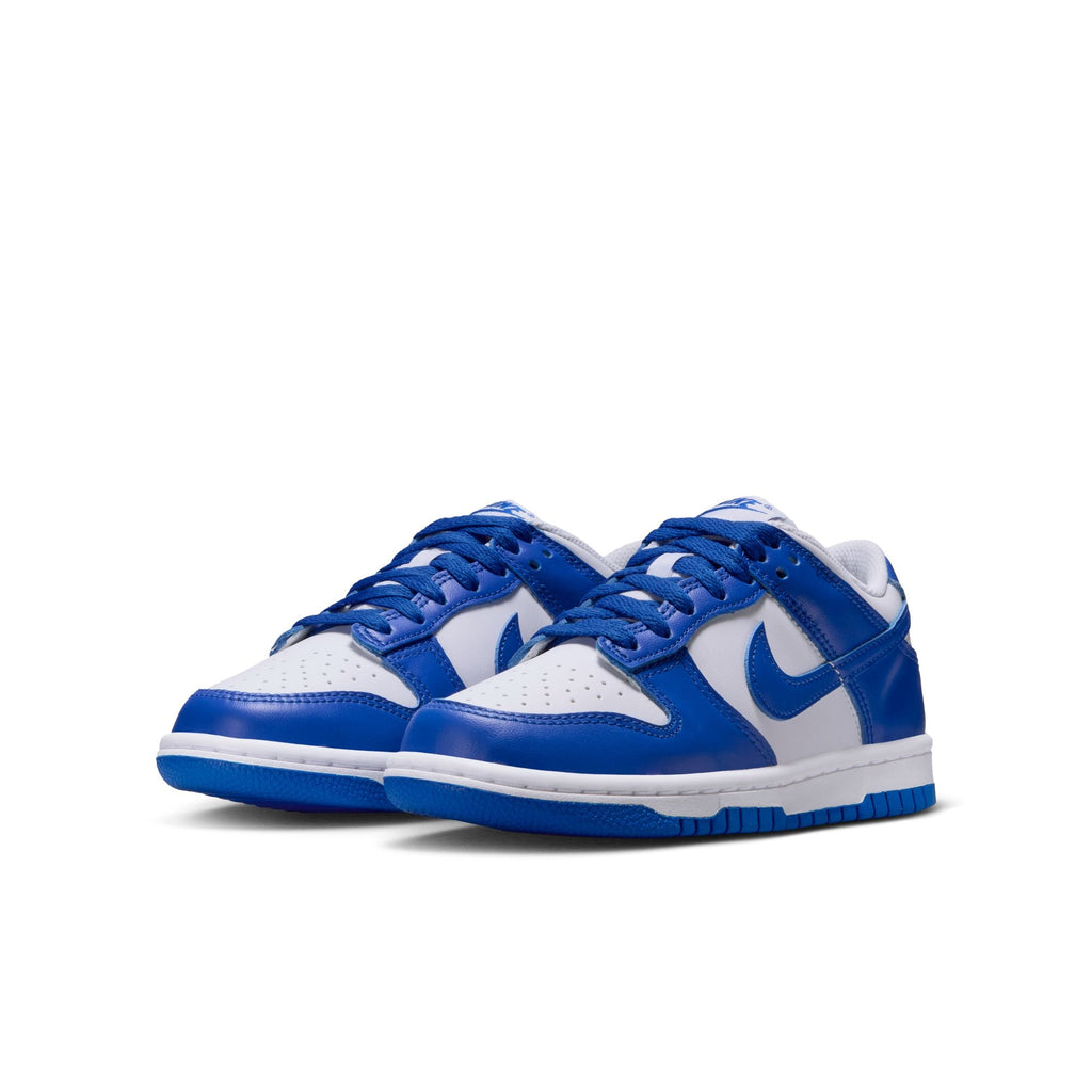 Nike Dunk Low (GS) - FB9109-131