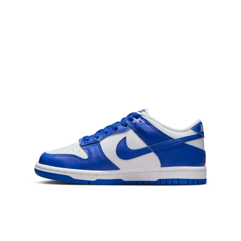 Nike Dunk Low (GS) - FB9109-131