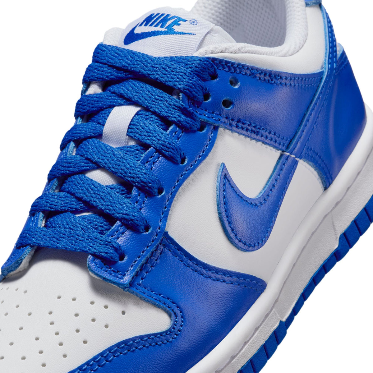 Nike Dunk Low (GS) - FB9109-131