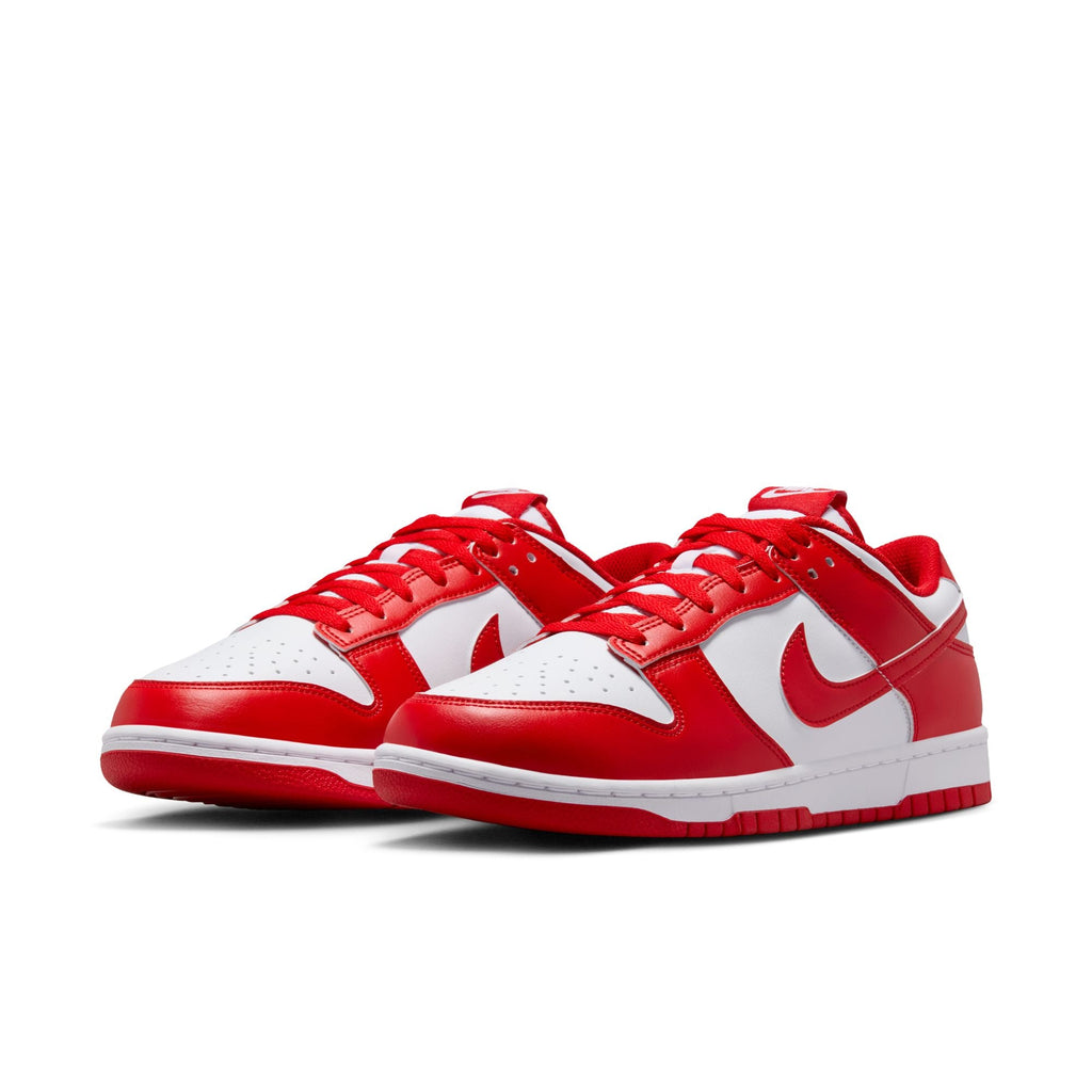 Nike Dunk Low Retro - HF5441-104