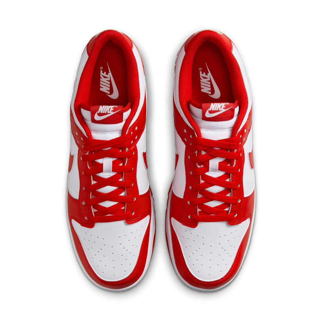 Nike Dunk Low Retro - HF5441-104