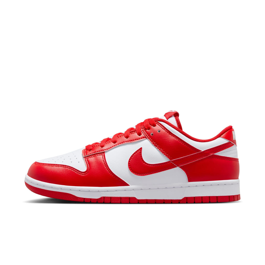 Nike Dunk Low Retro - HF5441-104