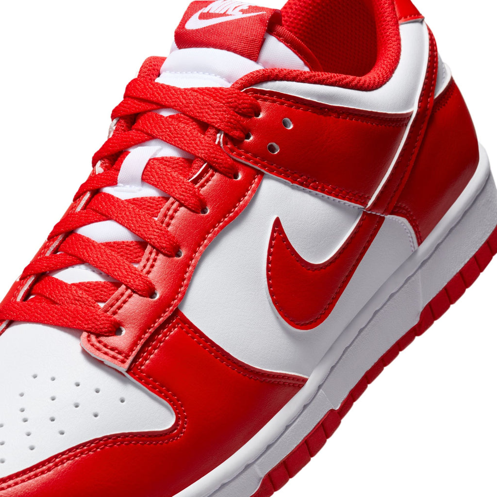 Nike Dunk Low Retro - HF5441-104