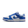 Nike Dunk Low Retro - HF5441-112