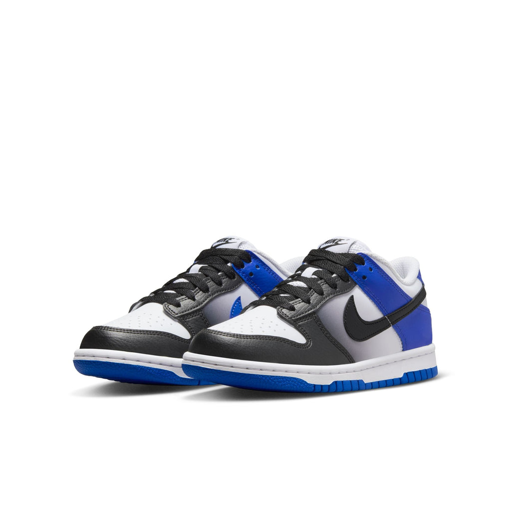 Nike Dunk Low (GS) - HJ9209-400