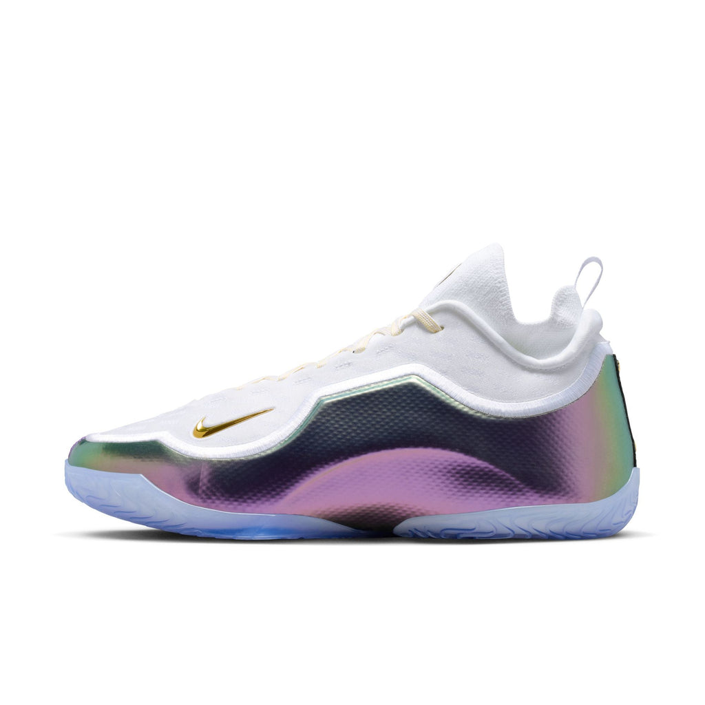 Nike Lebron XXIII Elite "For The Record" - IB9557-100