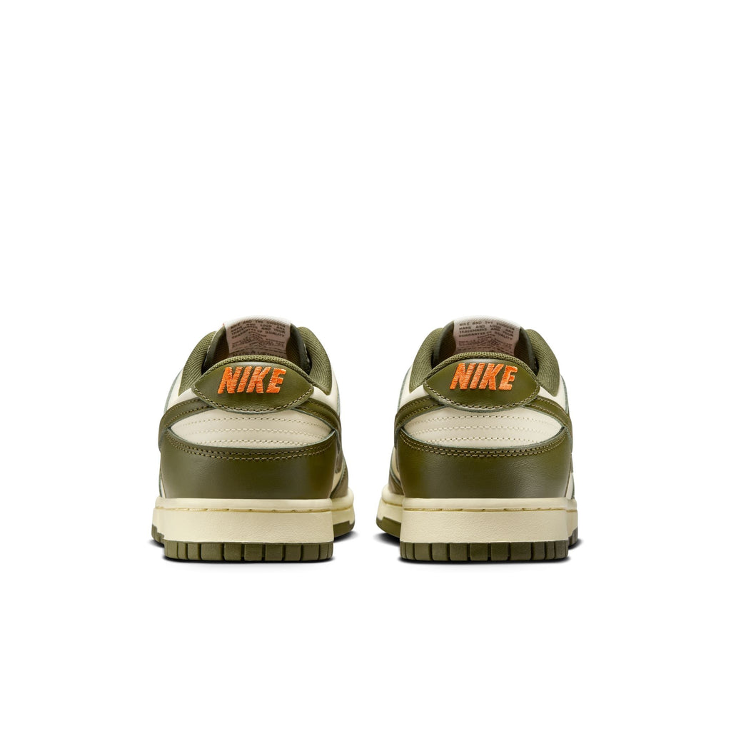 Nike Dunk Low Retro - IH0245-113