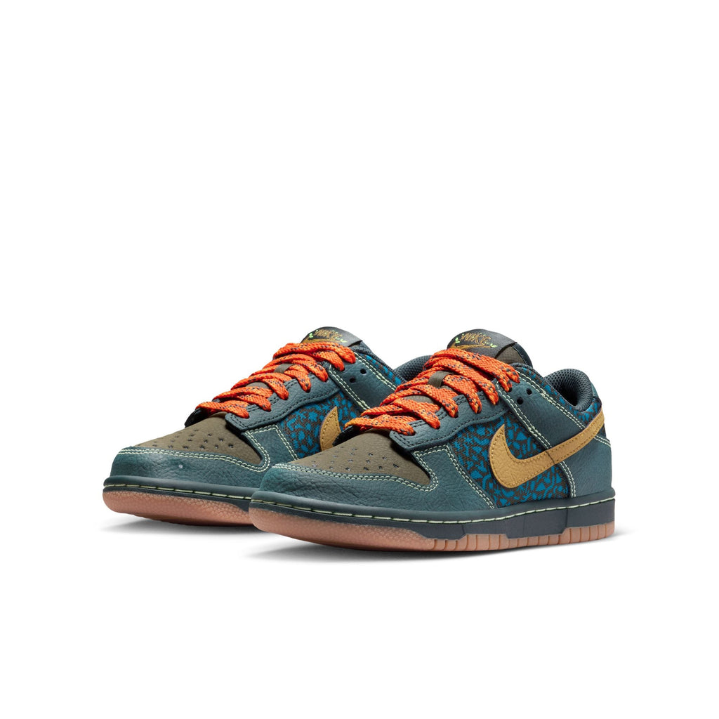 Nike Dunk Low BG (GS) - IH4042-364