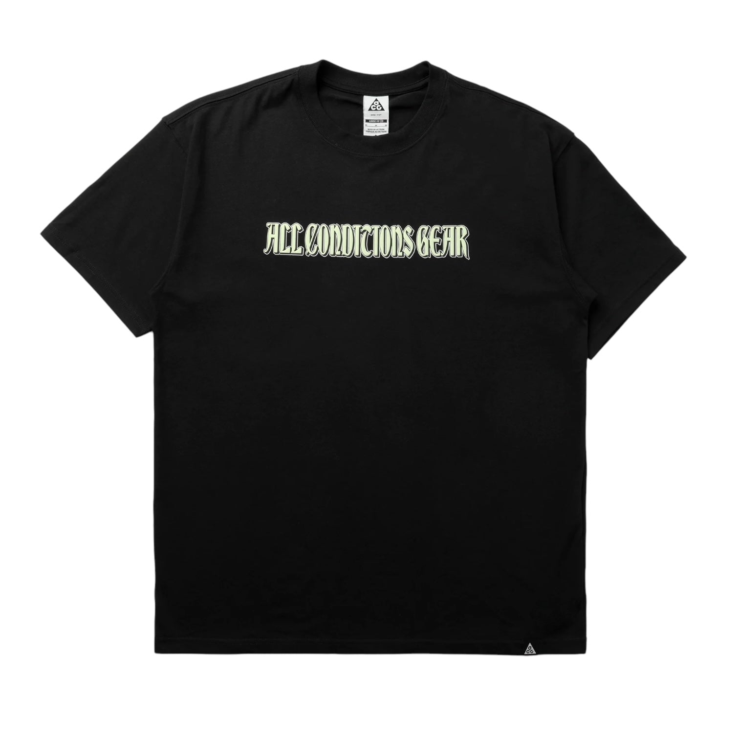Nike ACG Tee "Iguana" - HJ0884-010
