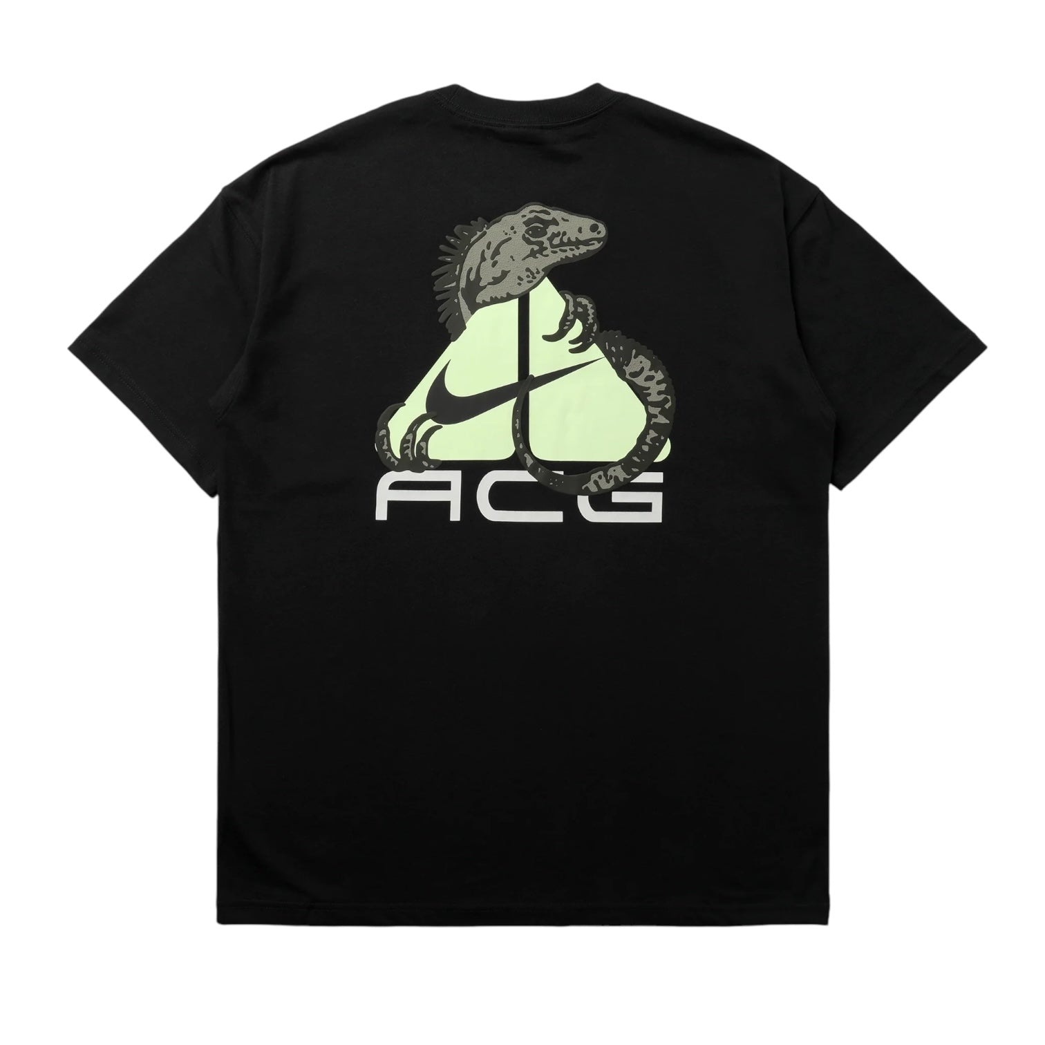 Nike ACG Tee "Iguana" - HJ0884-010