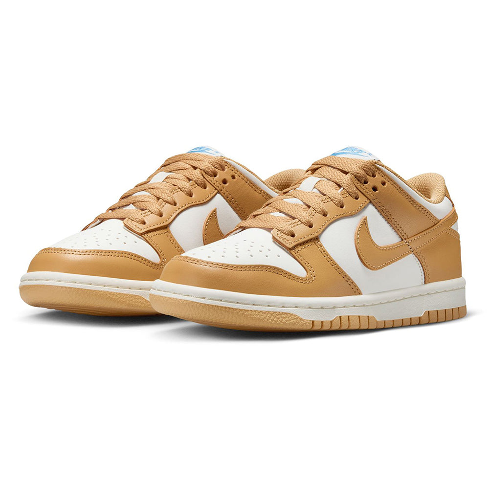 Big Kid's Nike Dunk Low Honeycomb/Honeycomb Sail (FB9109 700)