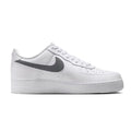 Men's Nike  Air Force 1 07' Tech ESS White/Cool Grey-Fir (IX0349 100)